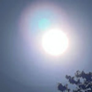 Meet your Posher, Brad